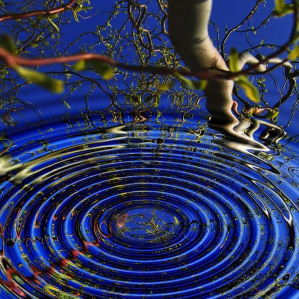 Karma & Transformation: Turning Your Karma into Destiny