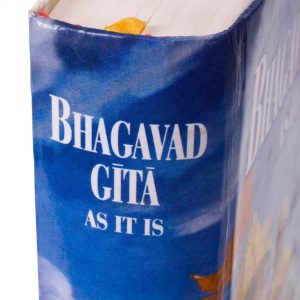Bhagavad Gita and the Path of Action