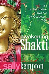 Awakening Shakti - Sally Kempton