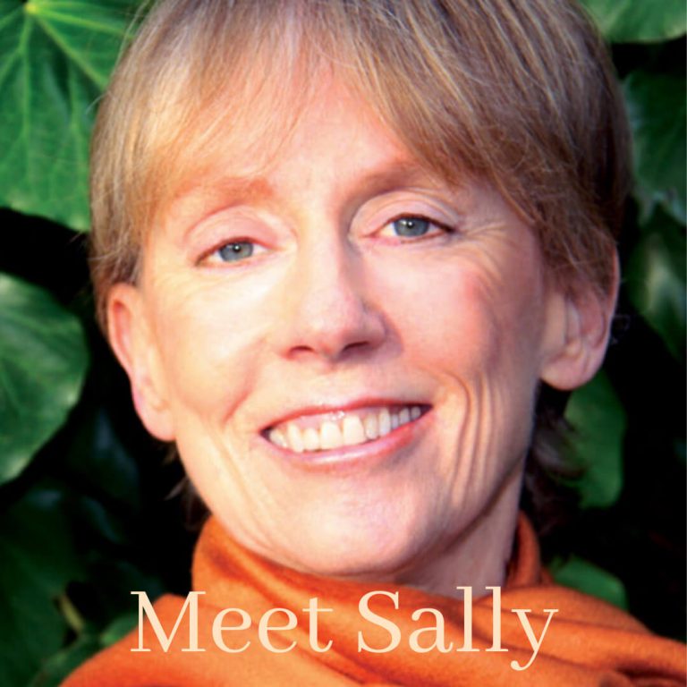 Meet Sally - Sally Kempton's biography