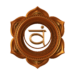 telecourse Telecourse icon